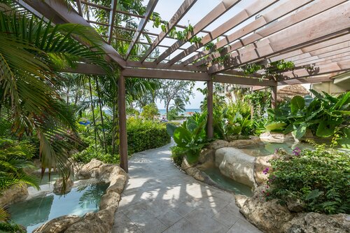Bougainvillea Barbados