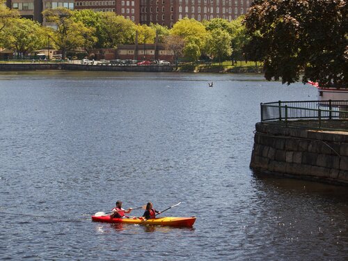 Kimpton Marlowe Hotel