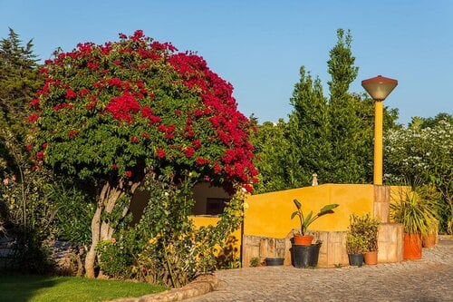 Hotel Rural Montinho de Ouro