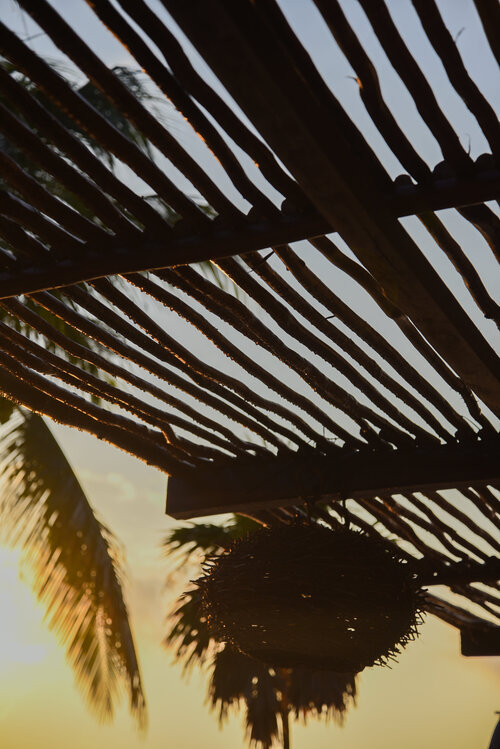 Viceroy Riviera Maya