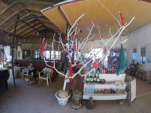 Faralya Gül  Pansiyon