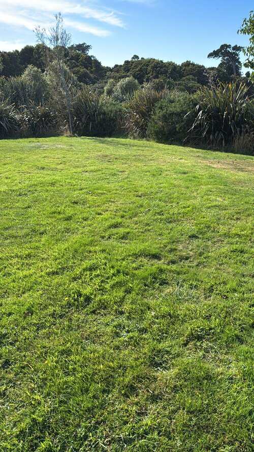 Whistling Frog Cafe & Resort