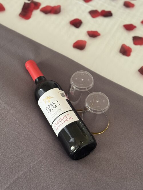 Casa Selva Arte Bacalar Free Bikes & Kayaks