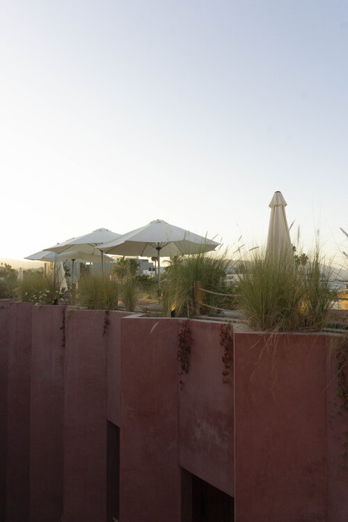 Laiva Hotel San Jose By Tasman