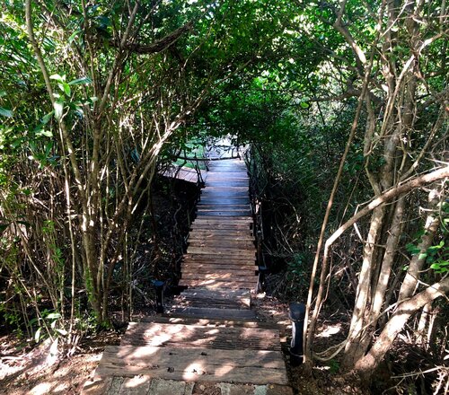 Cloud Nine Lanka Resort Wilpattu