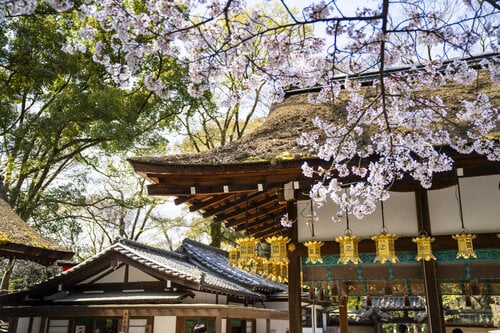 Kamo Residences By Reflections