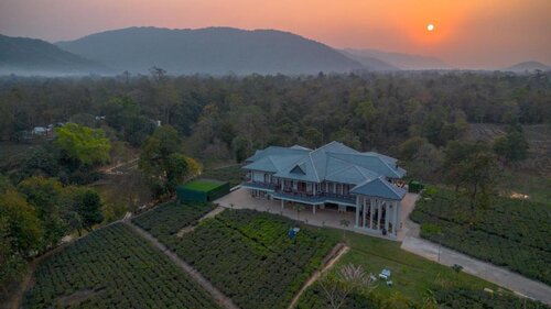 Vaani Greens Wildlife Resort, Kaziranga