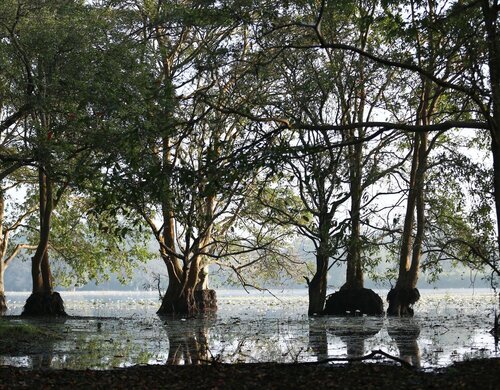 Kaveri Ayurveda Resort