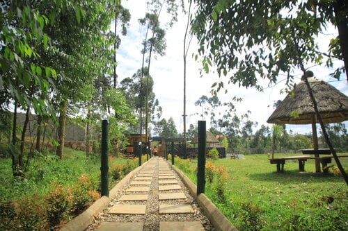 Nyungu Yamawe Forest Park