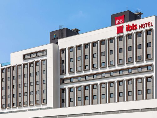 Ibis Tubarao