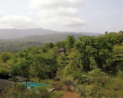 The Postcard Hideaway, Netravali