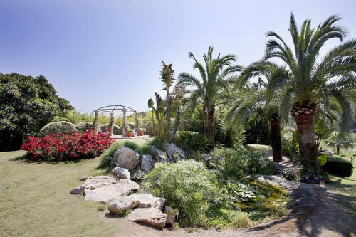 Ona Palmira Paradise