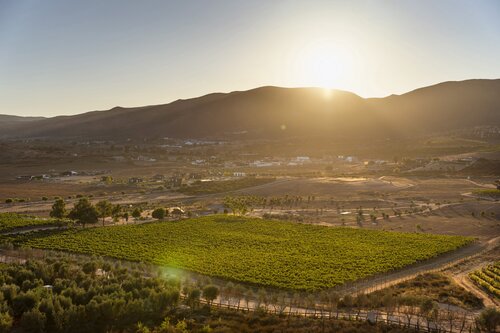 Banyan Tree Veya, Valle De Guadalupe