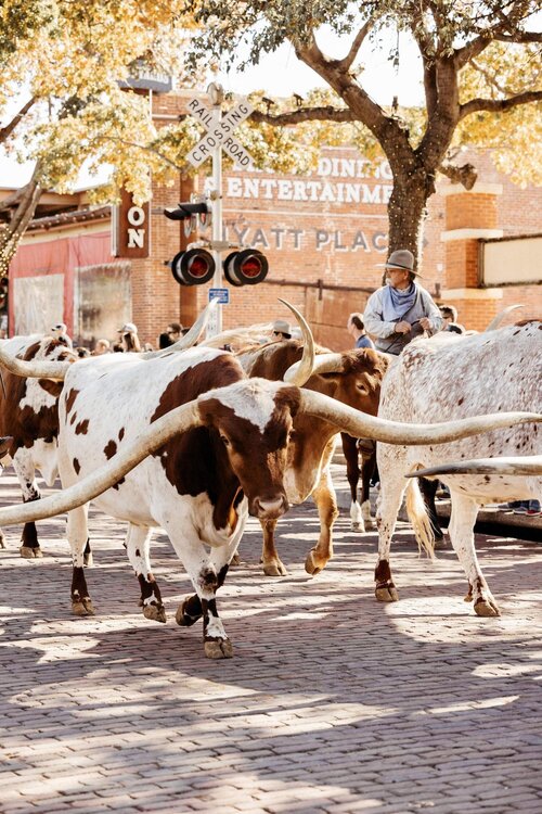 Bowie House, Auberge Resorts Collection