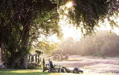 Motswari Private Game Reserve by Newmark