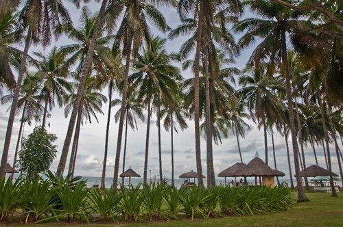 Crystal Paradise Resort, Spa & Winery