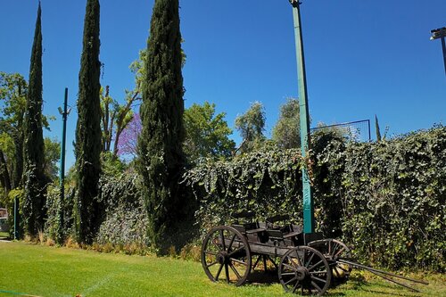 Hotel Real Del Bosque Golf And Spa