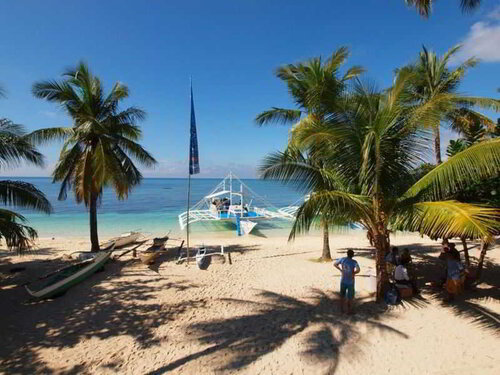 Ocean Vida Beach and Dive Resort