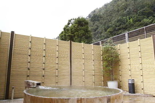 Hakone Yumoto Onsen Tenseien