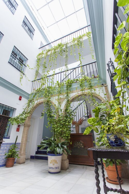 Apartamentos Suites Santa Cruz