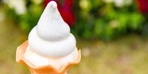 Hamanako Lake Side Plaza