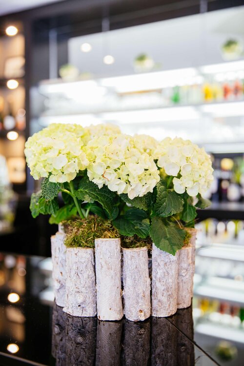 Best Western Plus Le Moderne