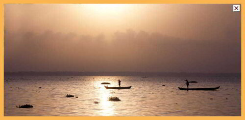 Deshadan Backwater Resort