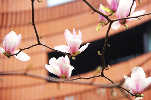 Hualuxe Shanghai Twelve at Hengshan