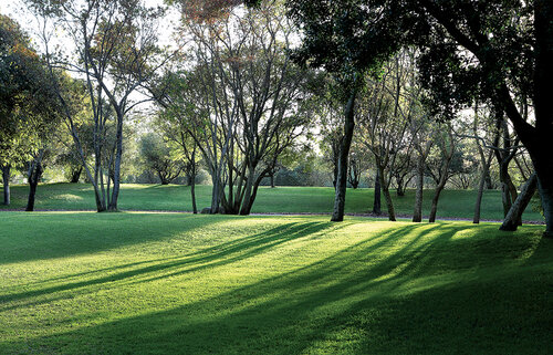 Saxon Hotel, Villas and Spa