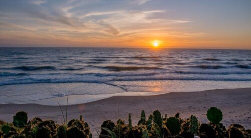 Coliseum Beach Hotel