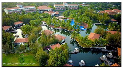 Bonjour Bonheur Ocean Spray