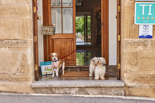 Son Sant Jordi Boutique House