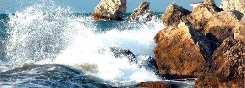 Best Western Plus Jacksonville West