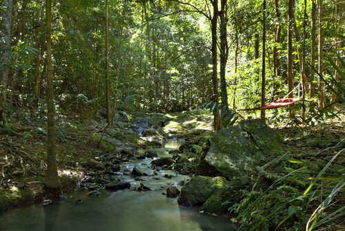 Narrows Escape Rainforest Retreat