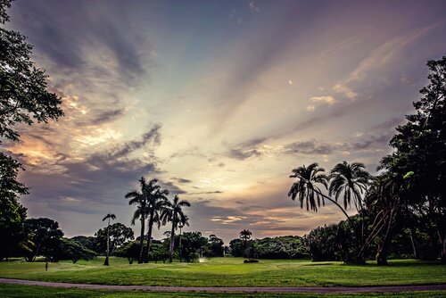 Selborne Golf Estate Hotel & Spa