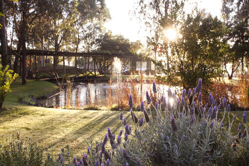 Hunter Valley Resort