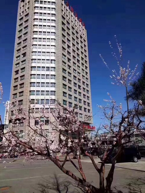 Beijing Sunflower Hotel