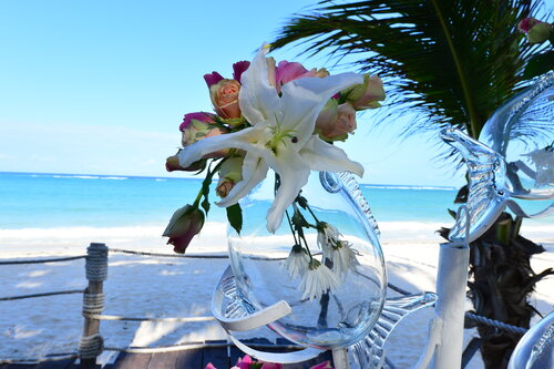 Diani Reef Beach Resort & Spa