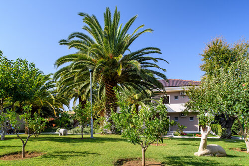 Alexandra Beach Thassos Resort & Spa