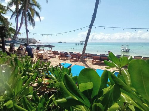 El Taj Ocean Front and Beachside Condo Hotel