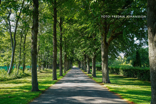 Elite Hotel Esplanade