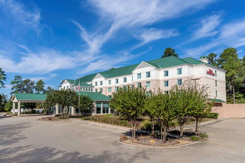 Hilton Garden Inn Houston/The Woodland