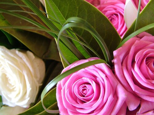 Hilton Garden Inn Tampa East/Brandon 