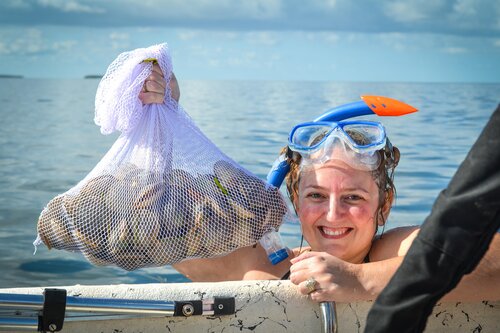 Holiday Inn Express Crystal River an IHG hotel