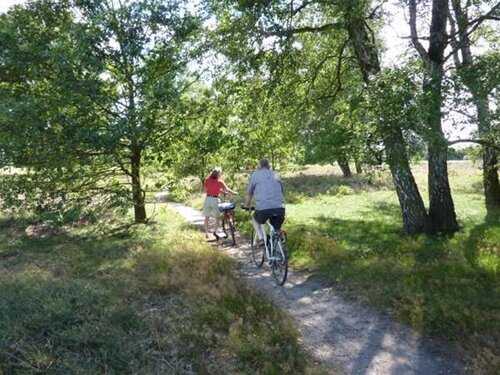 Akzent Hotel Zur Wasserburg
