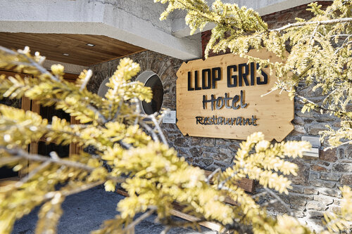 Hotel Llop Gris