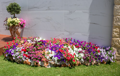 Paradice Hotel Luxury Suites