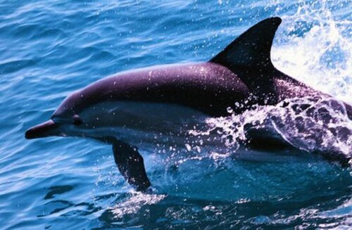 Beaches Serviced Apartments