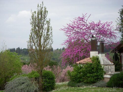 Locanda Le Boscarecce