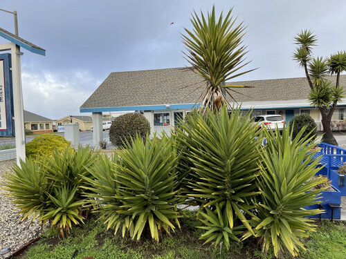 Baymont By Wyndham Fort Bragg